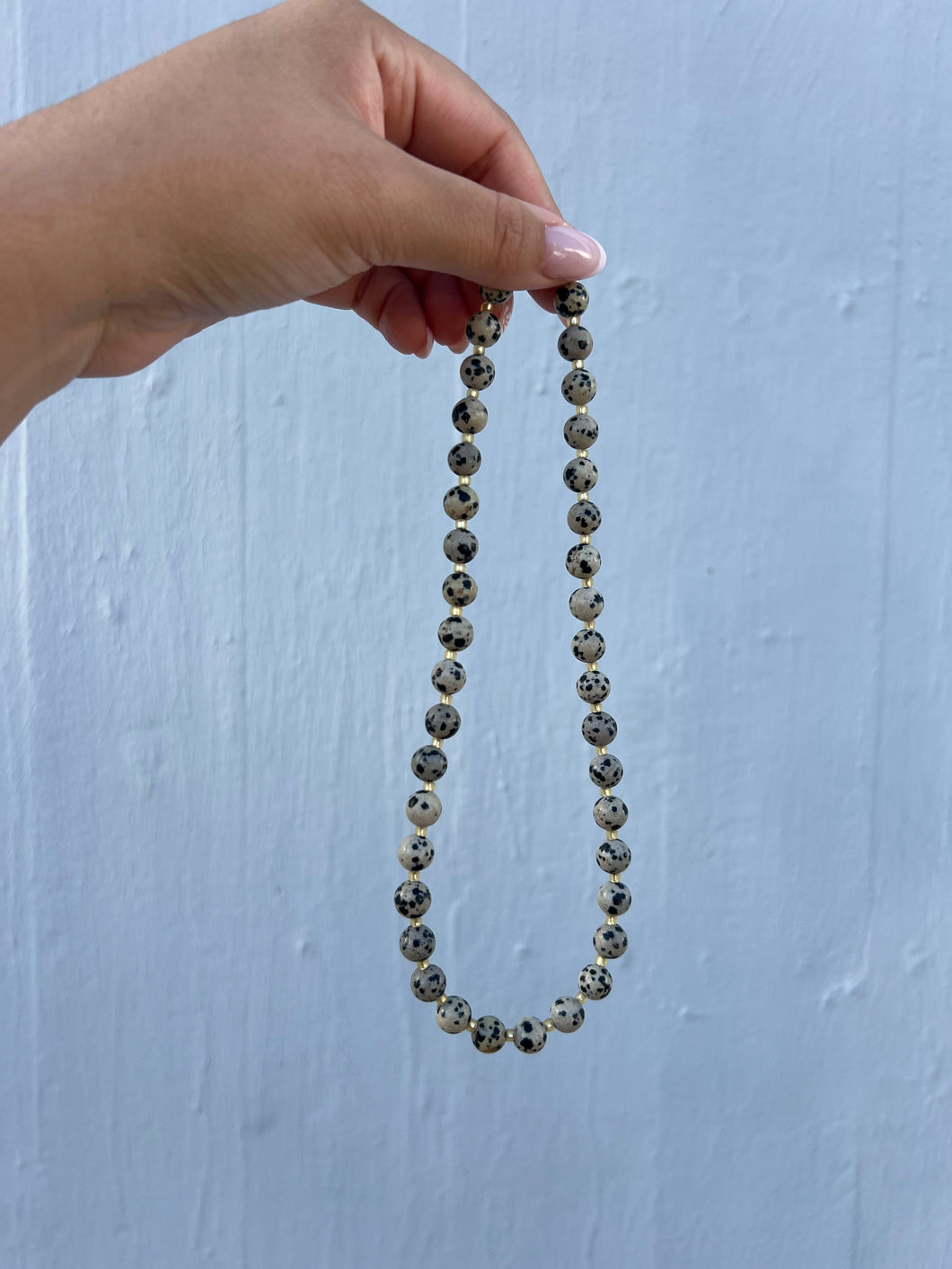 Dalmatian Jasper